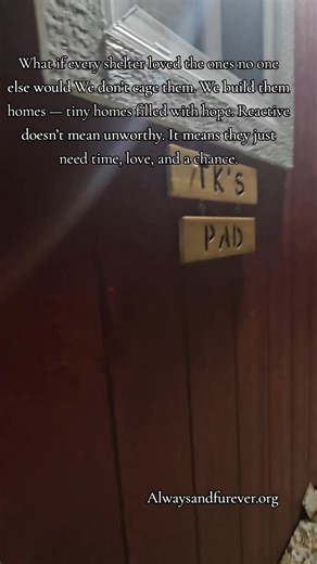 Good morning TK and Copper! At Always & Furever, we’re building a different kind of shelter — one that doesn’t give up on the reactive, the fearful, or the misunderstood. We choose to love the ones others have labeled “unadoptable.” The ones who flinch at a hand, bark at the world, or carry the weight of their past. For them, we built something extraordinary — tiny homes called Lighthouses, where each dog can live in peace. Indoor-outdoor spaces, open from 7 a.m. to 7 p.m., with the freedom to r