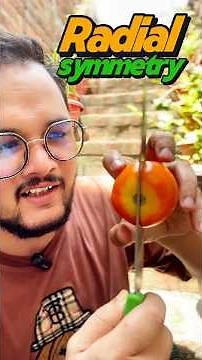 What Is Radial Symmetry? | Animal Kingdom | NEET & Class 12 Biology