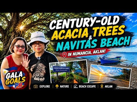 Ancient Trees & Beach Escape! Exploring Albasan & Navitas | Numancia, Aklan! 🇵🇭