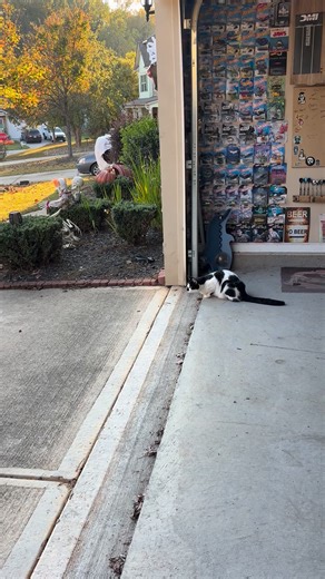 The neighborhood has a new leader. | Art Long