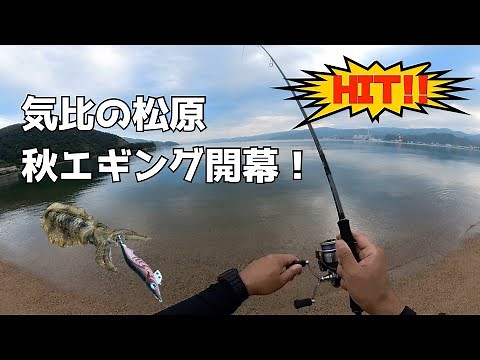 秋のエギング開幕！気比の松原
