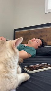 96K views · 2.8K reactions | Never fails #cat #cats #funnycats #catlovers #catowners #catsoftiktok #funnycat #cattok #catowner #catlover | Jared and Milo | Facebook