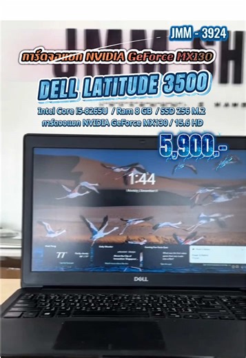 รหัสสินค้า : JMM - 3924 DELL LATITUDE 3500 จอใหญ่มีแป้นตัวเลข💙 Intel Core i5-8265U / Ram 8 GB / SSD 256 M.2 / การ์ดจอแยก NVIDIA GeForce MX130 / 15.6 HD🔥 💵💵 ขาย 5,900.- บาท 💵💵 ใช้ทำงานเอกสาร ดูซีรี่ย์ เรียนออนไลน์ เครื่องสวยบางเบา ราคาน่ารัก ประหยัดไปเป็นหมื่น!!! ถูกกว่าห้างเห็นๆ✌️🔥 สภาพสวย Grade A มีจำนวน 20 เครื่อง 👇👇 รายละเอียดสเปค 👇👇 CPU : INTEL CORE I5-8265U RAM : 8 GB DDR4 STORAGE : SSD 256 M.2 DISPLAY : 15.6
