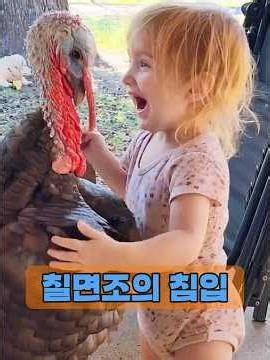 A turkey entered a peaceful village. #animals #raisinganimals #animals