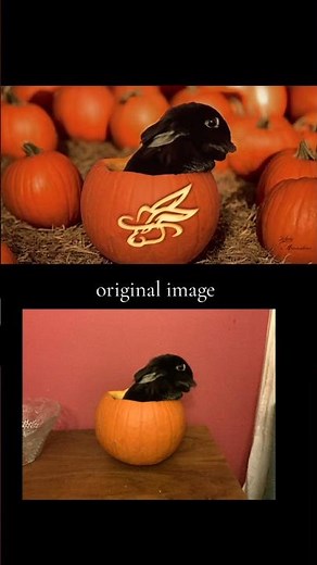 The Art of Autumn: Fall Photography Tips & Techniques