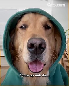 This rescue cat and dog are the cutest duo -- they even have a children's book about them 🥰 We spoke to aarikagerette for this video produced exclusively by Cats.com. | Cats.com