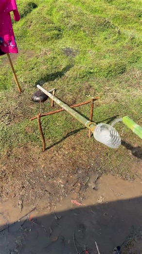 Repel Birds with Just Water? This Simple Lever Device, Farmers Must See