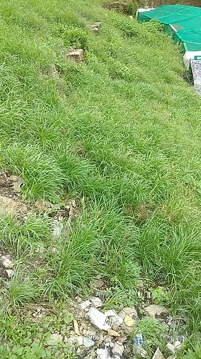 dy8oml4xs5b9 على TikTok