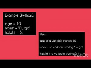 Variables Explained in 30 Seconds | Beginner Coding Lesson (Day 2)