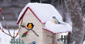 Fabriquer une cabane pour les oiseaux