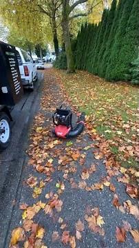 M18 FUEL™ Dual Battery Backpack Blower |3009 📽️ @lawncarebusinesssuccess