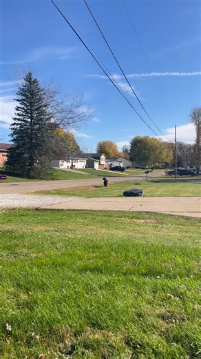 Someone’s black (maybe labradoodle) is running. Has a collar but wouldn’t come to me. Running down Madina St behind the park towards 44 now. | Cynthia L Repasky