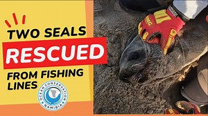 7.4K views · 639 reactions | As soon as Tony starts talking about the...