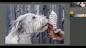 With Photo Clip edit your photo without spending hours on your computer ;) Try our free photo clip trial now : https://goo.gl/vjjEu6 | inPixio