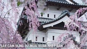 20 reactions · 16 comments |  TRANG SỨC ĐỊNH NGHĨA BẢN THÂN  Lấy...