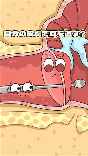 自分の皮膚で耳を直す！？
