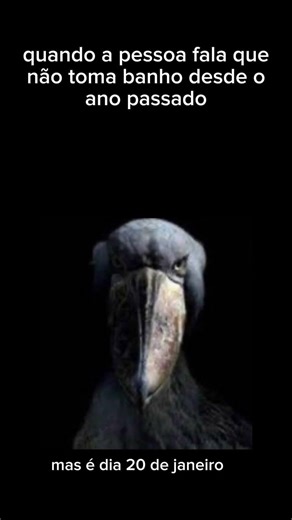 Mano?! #memes #humor #shorts #viral #vaiprofycaramba