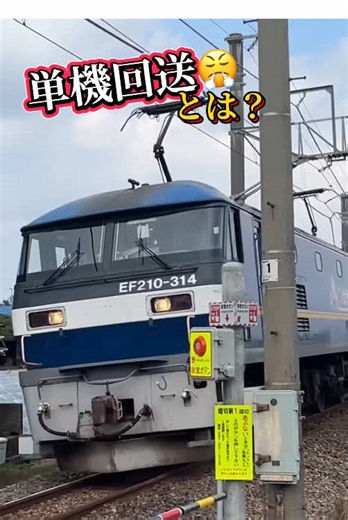 単機回送に遭遇‼️ #四国 #貨物列車 #単機回送 #鉄道好きな人と繋がりたい #桃太郎