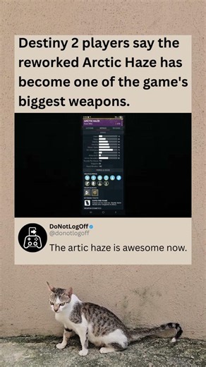 Destiny 2 Players Say Arctic Haze Is The Biggest Hit After Its Rework #destiny2