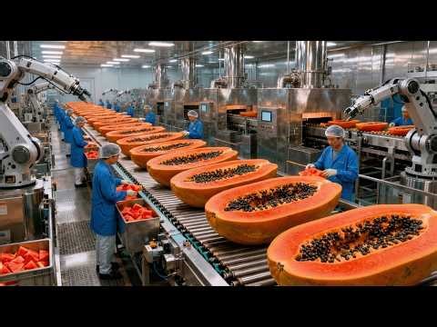 Ultimate 4K: Inside the High-Tech Papaya Factory! (How Billions Are Processed)