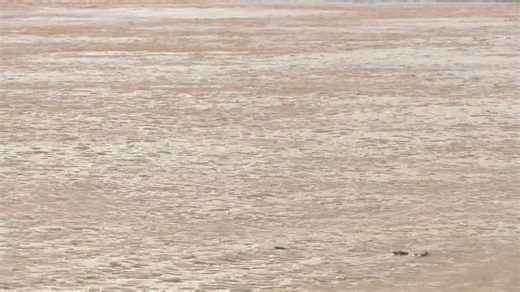 Body recovered from Mississippi River near St. Louis, officials confirm