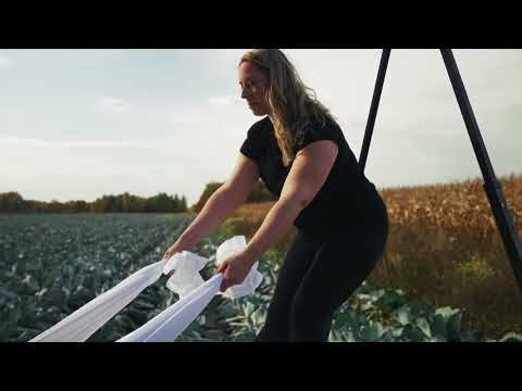 Découvrez le massage Ashiatsu