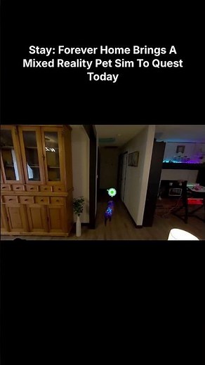 Stay: Forever Home Brings A Mixed Reality Pet Sim To Quest Today