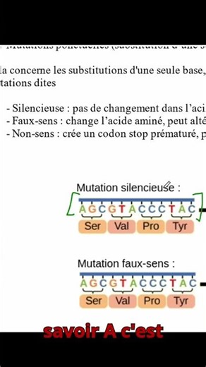 Les 3 types de mutations génétiques : silencieuses, faux-sens et non-sens