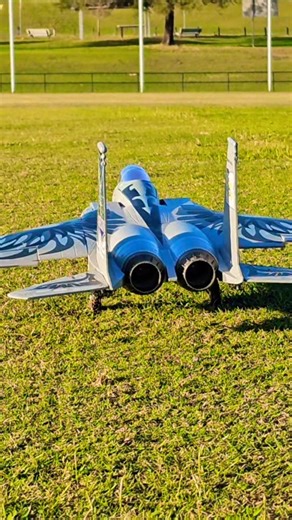 F-15 Eagle Twin edf Jet takes flight #rcplane #aviation #shorts