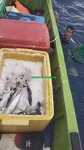 fresh galonggong | Marvin Basco