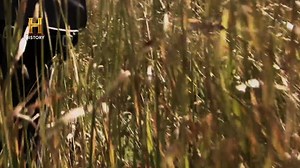 Meteoritos trazem vida extraterrestre para a Terra☄️| ALIENÍGENAS DO PASSADO E se os meteoritos não fossem rochas espaciais aleatórias? Este episódio de Alienígenas do Passado explora a teoria de que eles são tecnologia extraterrestre enviada para nos observar. Alguns acreditam que são sondas de inteligência artificial, ativas há milênios, coletando informações sobre a humanidade. #AlienígenasDoPassado | HISTORY