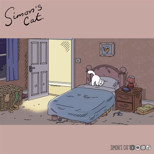1M views · 35K reactions | Time for a little trip! What about the cats?! | Simon's Cat | Facebook
