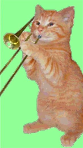 Trompet cat #dance #remix #animal #funny