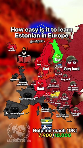 Learning Estonian: Insights on Language Acquisition