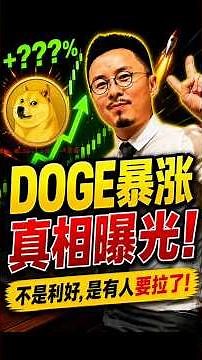 To participate in the rise, you need to know why the DOGE has returned to $0.1!
