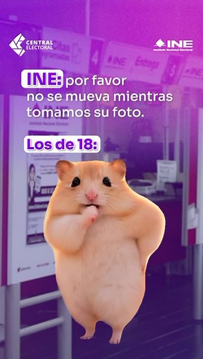 Si ya tienes 18, es momento de tramitar tu Credencial para Votar. Agenda tu cita y lánzate al módulo. ✨ #INE #CredencialParaVotar #tiktokméxico #hamster #cumbia