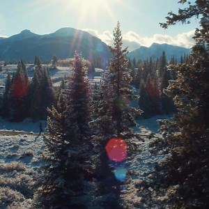 59K views · 170 reactions | Next up in our series of films from the...