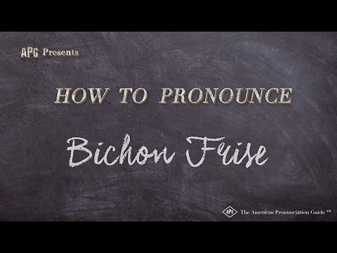 How to Pronounce Bichon Frise