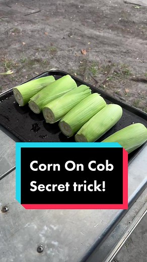 How to Freeze Fresh Corn on the Cob in the Husk Fast