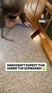 2.6M views · 49K reactions | Wait to see how many come out 藍 | Fluffy Animals | Facebook