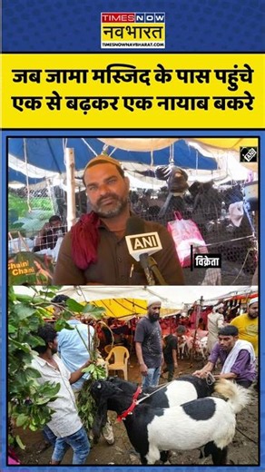 Delhi Jama Masjid Bakra Mandi 2026 | सज-धज कर तैयार हुआ दिल्ली का सबसे बड़ा बकरा बाजार | #shorts