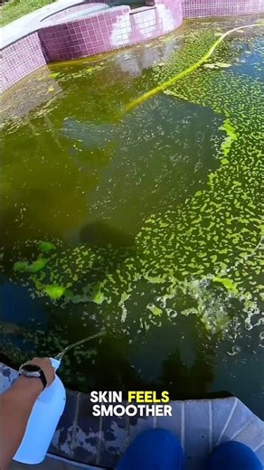 Why Salt Is Added to Swimming Pools