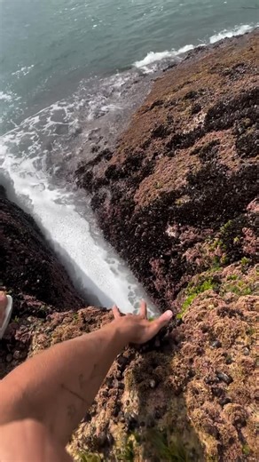 🔞INTIMFLEX-COACH001 on Instagram: "Tips for you #coach #fyp #trendingreels #explorepage #real #goviral #trending #reelsinstagram #love #FitnessOver40 #HealthyLifestyle #FitAtAnyAge #FitLife #FitnessGoals #WorkoutMotivation #HealthyLiving #NutritionTips #ExerciseRoutine #trendingreels2025 #ViralReels, #Reelsinspiration, #ExplorePage, #TrendingNow, #InstaTrends, #Reels2025 #CreativeContent, #ReelltFeelit, #InstaFamous,"