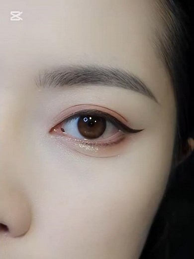 Eyeliner Tutorial for Beginners | Easy Step-by-Step Guide #eyeliner #eyelinertutorial #shorts