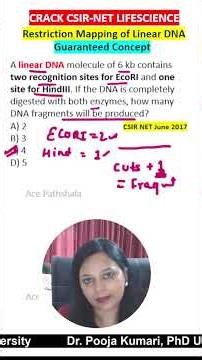 🔥 Restriction Mapping Linear DNA PYQ | CSIR NET Molecular Biology | Step-by-Step Calculation Trick