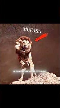 Mufasa's Death 😯 | Mufasa The Lion King #thelionking #mufasathelionking #lionking #movie #viral