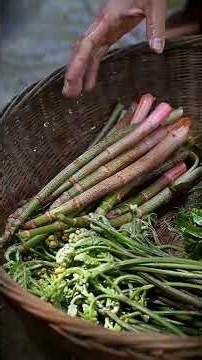 Go to the mountain and pick some wild vegetables, and then boil them in the hotpot with spring