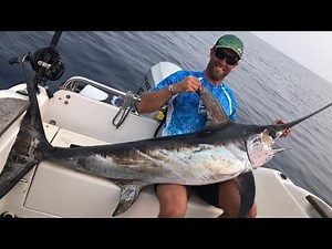 Daiwa Tanacom 1000 vs swordfish (daytime)