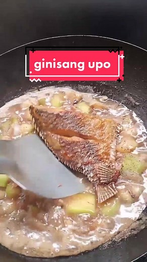 Delicious Ginisang Upo with Fried Tilapia Recipe