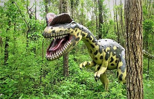 Dilophosaurus | Características, comportamiento, alimentación | Dinosaurio